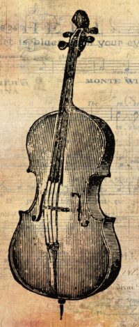 violoncello-bonito